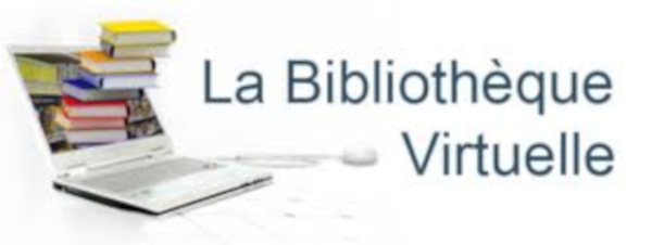 Bibliothèques Numériques